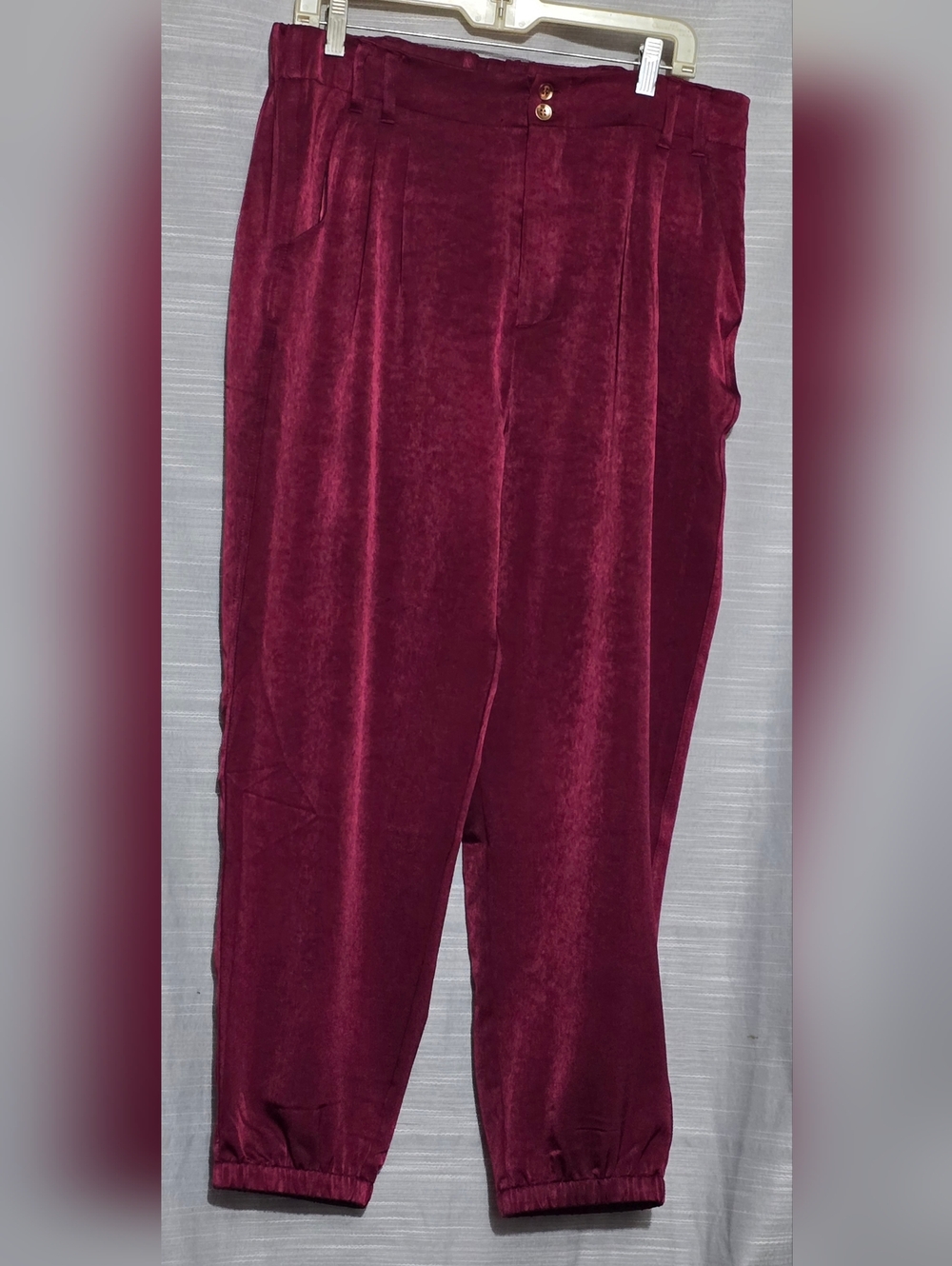 Time And Tru Womens Pants plus Sz L (12-14) Elastic Leg Plum Pull on pockets